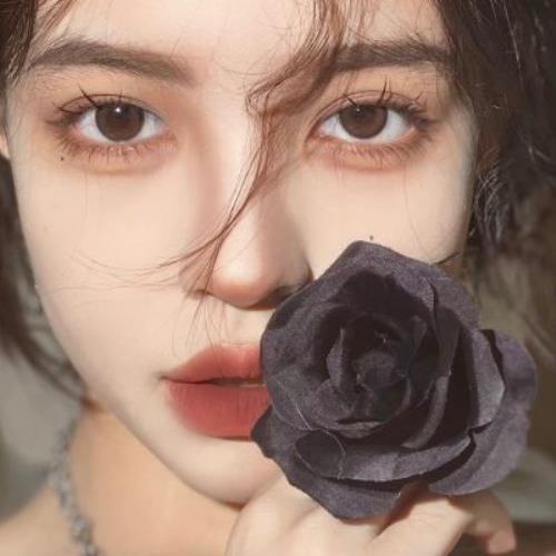 测试23的头像-SDModel