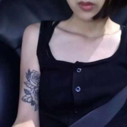 测试73的头像-SDModel