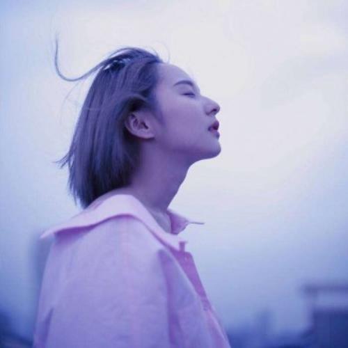 测试77的头像-SDModel