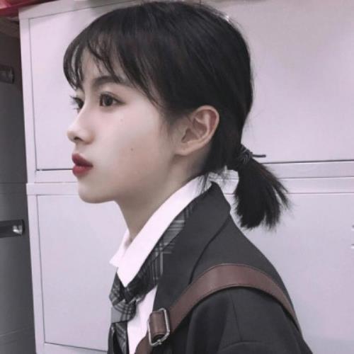 ember.818056659的头像-SDModel