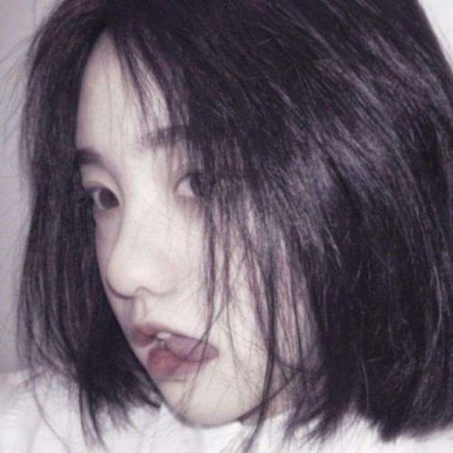 测试1的头像-SDModel