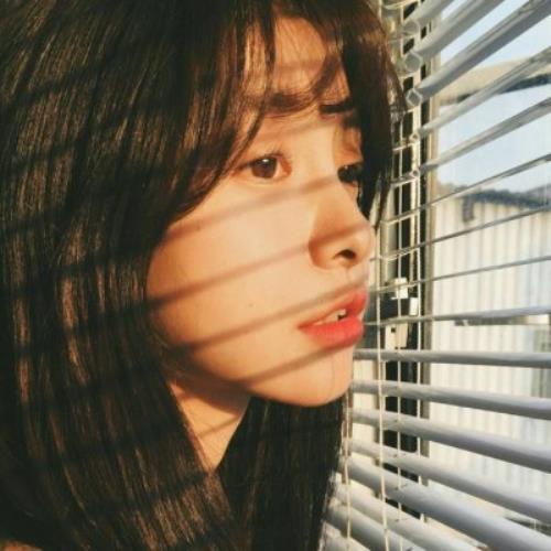 测试14的头像-SDModel