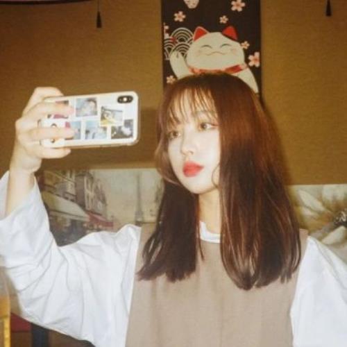 测试62的头像-SDModel