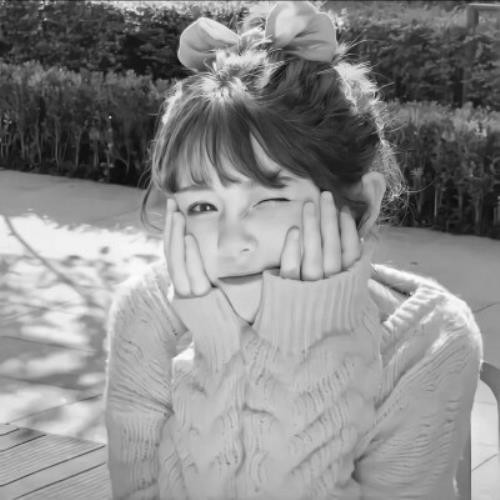 测试62的头像-SDModel