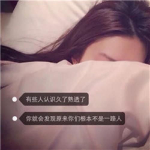 测试54的头像-SDModel