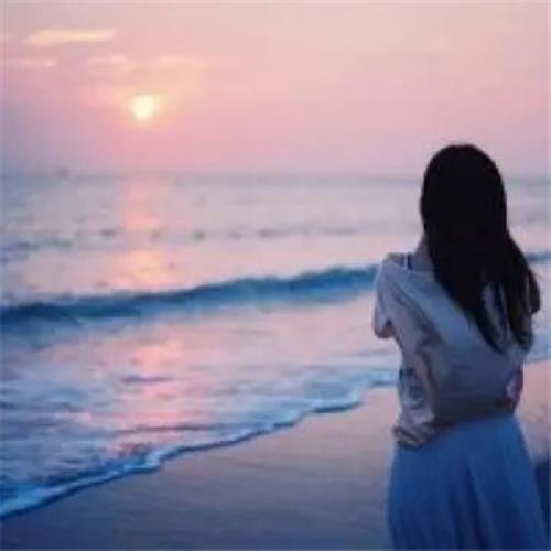 测试37的头像-SDModel