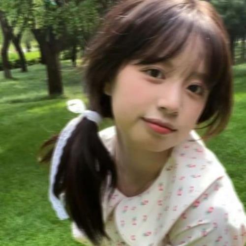 测试12的头像-SDModel