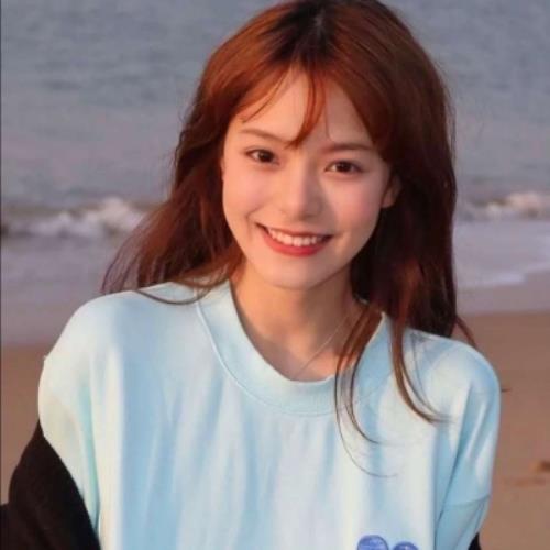 测试17的头像-SDModel