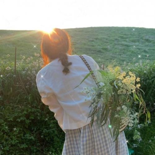 测试74的头像-SDModel