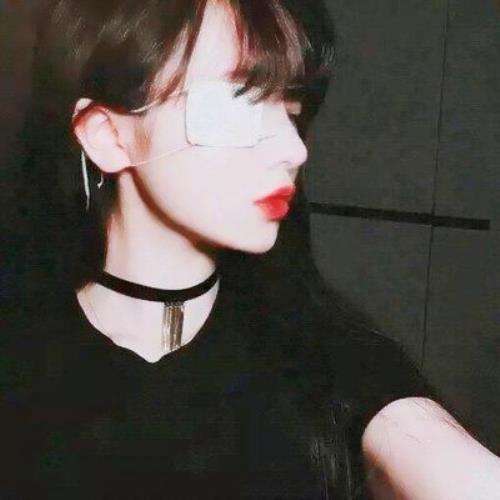 测试10的头像-SDModel