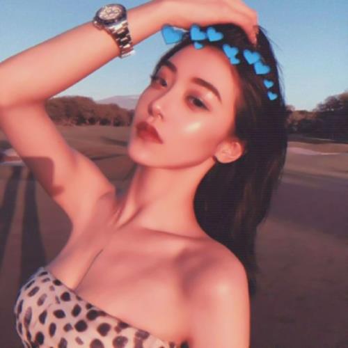 测试13的头像-SDModel