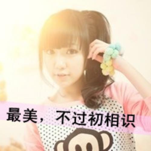 测试43的头像-SDModel