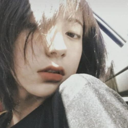 测试1的头像-SDModel