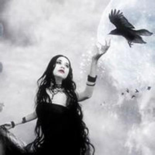 测试57的头像-SDModel