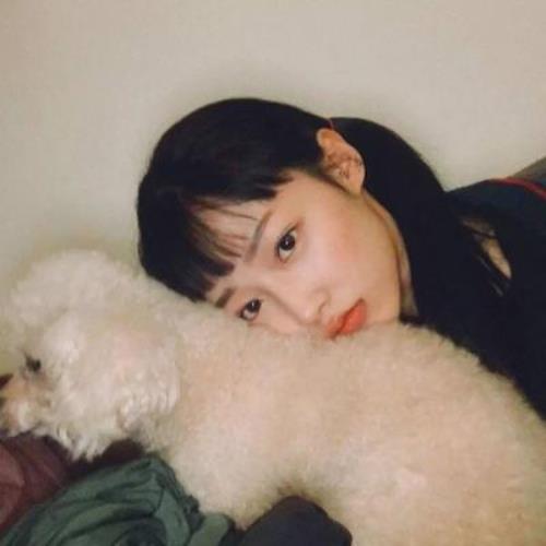 测试93的头像-SDModel