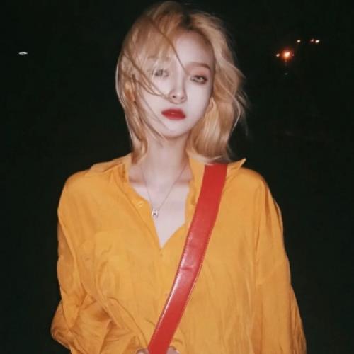 测试9的头像-SDModel