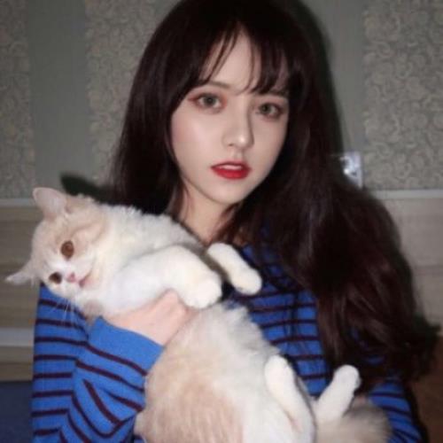 测试53的头像-SDModel