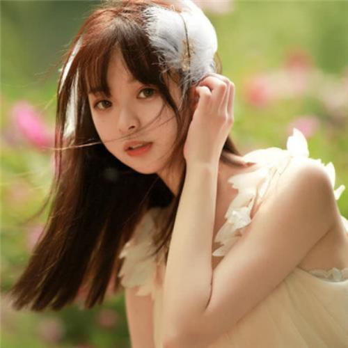 ~aurora739的头像-SDModel