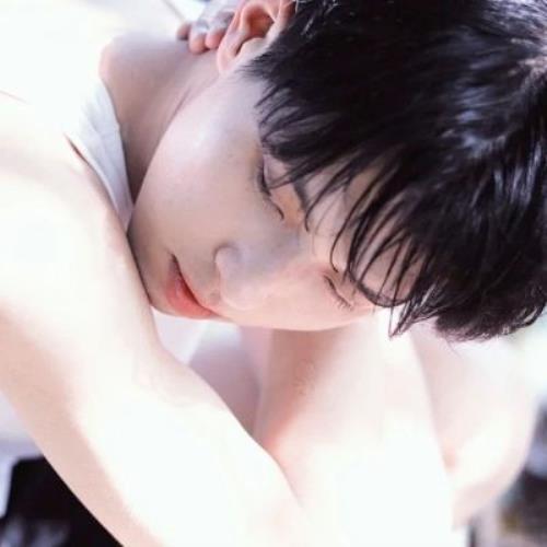 测试76的头像-SDModel