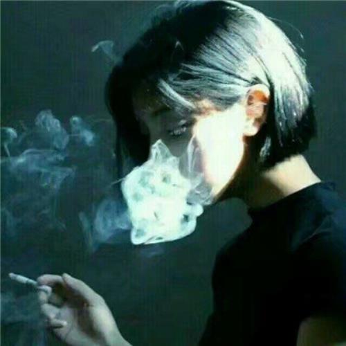 测试45的头像-SDModel