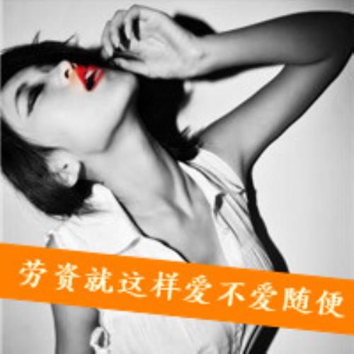 测试1的头像-SDModel