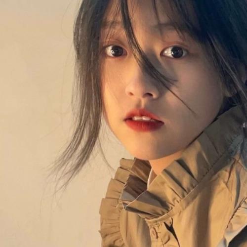 测试31的头像-SDModel