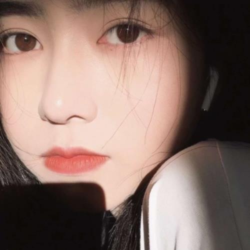 nexus849732806的头像-SDModel