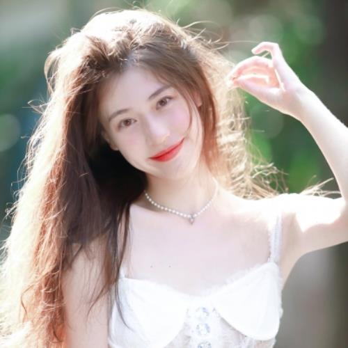 测试2的头像-SDModel