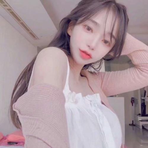 测试19的头像-SDModel