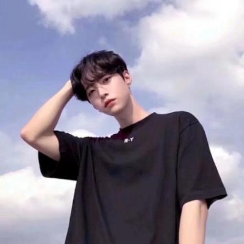 -=~*+@的头像-SDModel