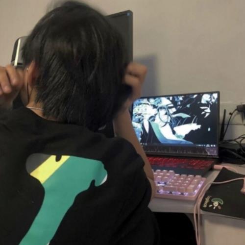 74595染夏辰岚的头像-SDModel