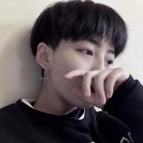 60611星冬的头像-SDModel