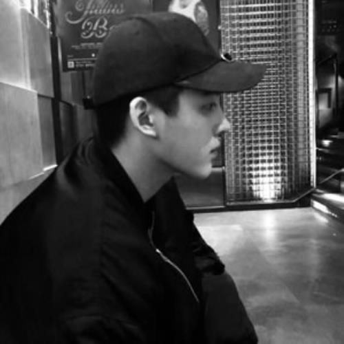 quant.栖念的头像-SDModel