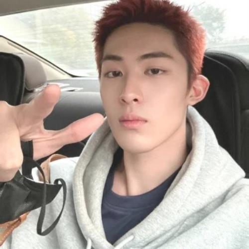 beta--1的头像-SDModel