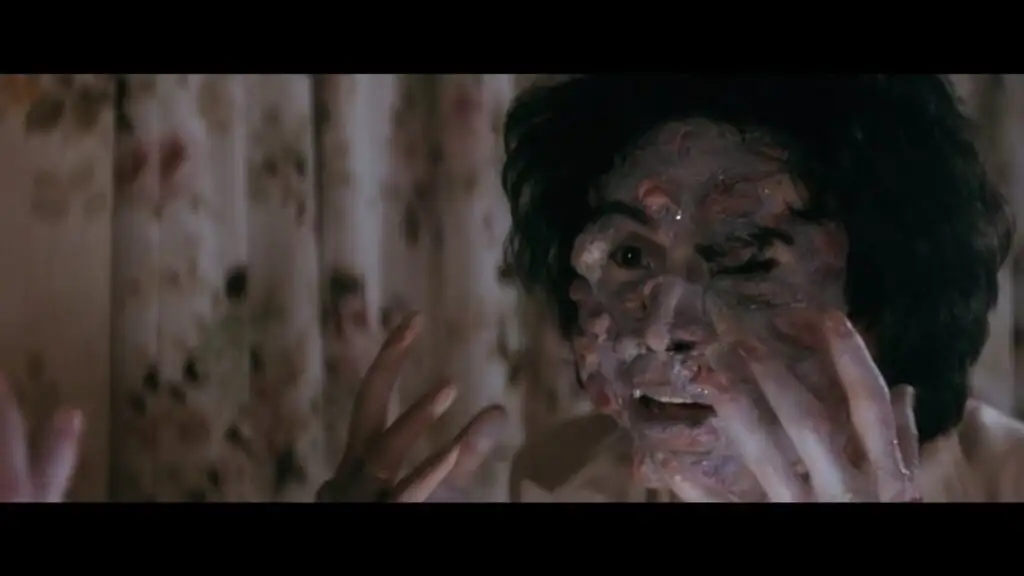 图片[5]-魔胎.Devil.Fetus.1983.USA.Blu-ray.1080p-SDmodel